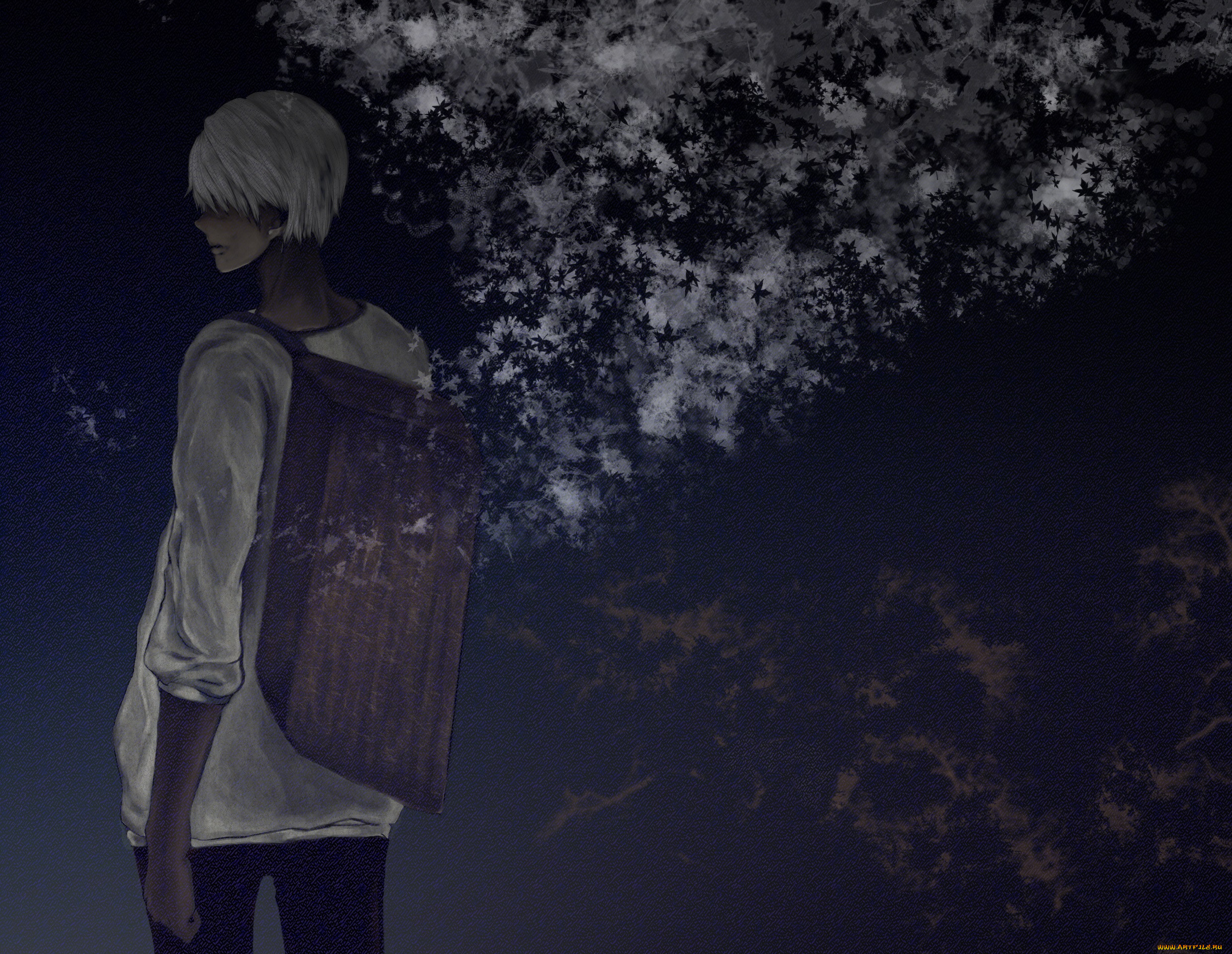 , mushishi, ginko